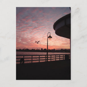 Santa Monica Pink Briefkaart