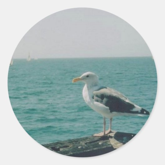 Santa Monica Seagull Ronde Sticker (Voorkant)