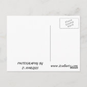 SANTA MONICA SUNRISE #1 BRIEFKAART (Achterkant)