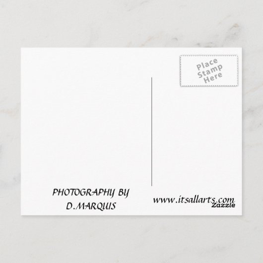 SANTA MONICA SUNRISE #1 BRIEFKAART (Achterkant)