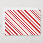 Santa Nice Officiële lijst Certificaat Kaart (Achterkant)