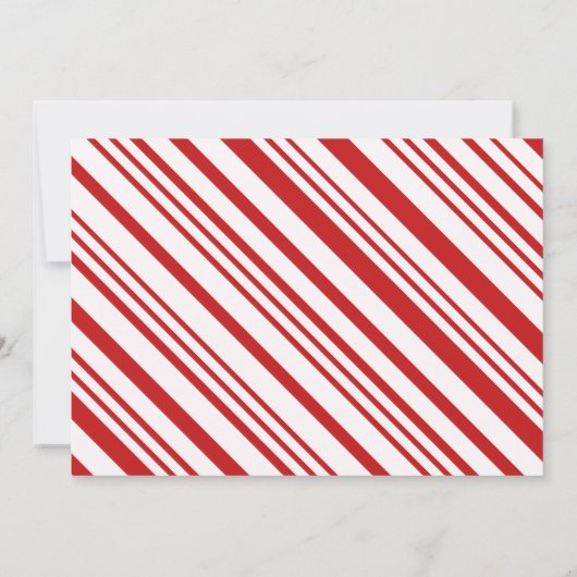 Santa Nice Officiële lijst Certificaat Kaart (Achterkant)