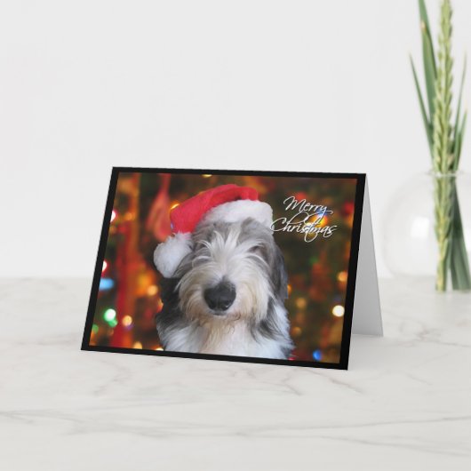 Santa Old English Sheepdog Christmas Kaart (Voorkant)