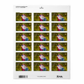 Santa Ornament Cadeauetiketten Etiket (Full Sheet)