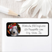 Santa Oud Engels Sheepdog Etiket (Insitu)