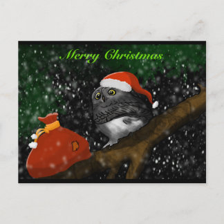Santa Owl Christmas Card Feestdagenkaart