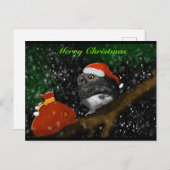 Santa Owl Christmas Card Feestdagenkaart (Voorkant / Achterkant)