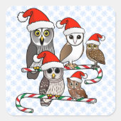 Santa Owls Vierkante Sticker (Voorkant)