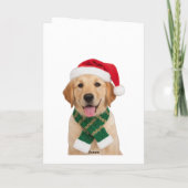 Santa Paw Christmas-Schattigee Golden Retriever Gr Kaart (Achterkant)