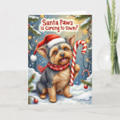 Santa Paws Affenpinscher Kerstgroet Kaart (Voorkant)