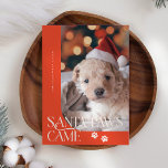 Santa Paws Came Dog Photo Red Christmas Feestdagenkaart<br><div class="desc">Schattigee en grappige kerstvakantie foto sjabloon kaart voor hondenbezitters met een typografie tekst die zegt "Santa Paws Came" met een foto van uw hond. De achtergrond is rood.</div>
