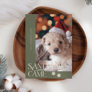 Santa Paws Came Hondenfoto Wijze Groene Kerst Feestdagenkaart