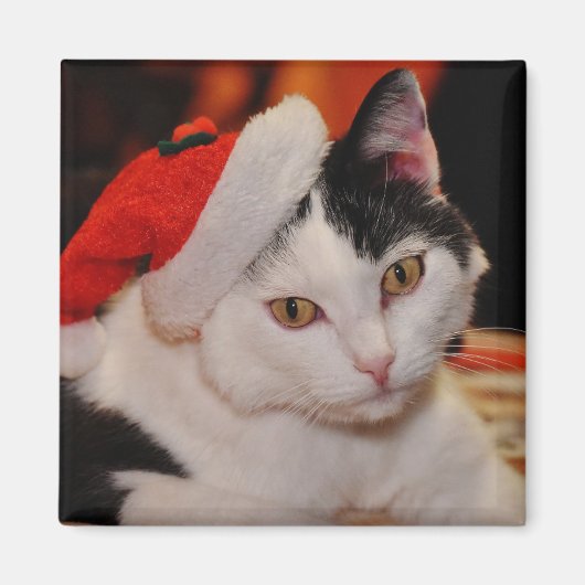 Santa Paws Cat Magneet (Voorkant)