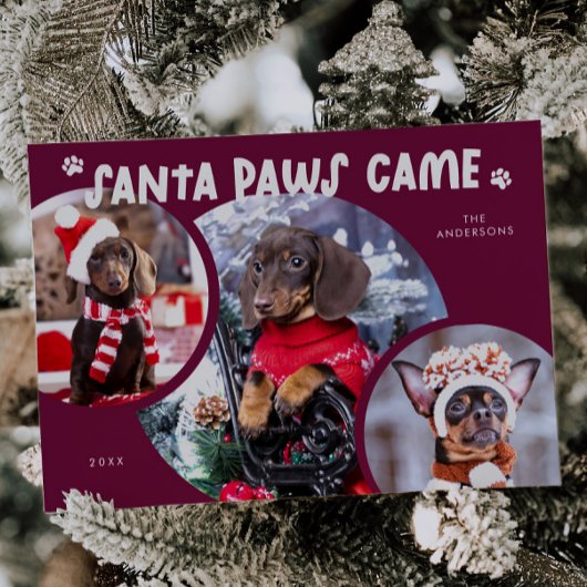 Santa Paws Cranberry Dog Foto Vakantie Kaart