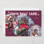 Santa Paws Cranberry Dog Foto Vakantie Kaart (Voorkant)