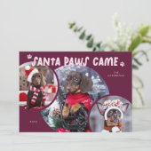 Santa Paws Cranberry Dog Foto Vakantie Kaart (Staand voorkant)