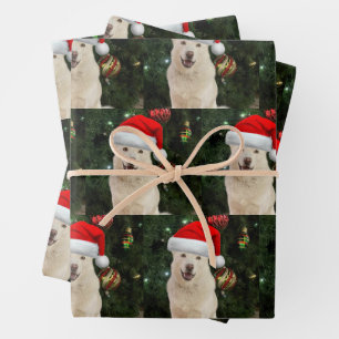 Santa Paws - Crystal the Husky Inpakpapier Vel