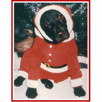 Santa Paws Fotobeeldje Ornament