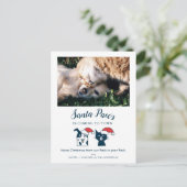Santa Paws | Funny Cat and Dog Pet Photo Feestdagenkaart (Staand voorkant)