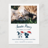 Santa Paws | Funny Cat and Dog Pet Photo Feestdagenkaart (Voorkant)