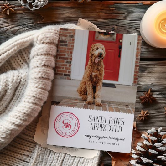 Santa Paws Goedgekeurd Huisdier Kerstkaart
