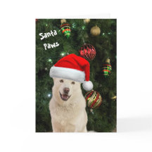 Santa Paws - Het Happy Husky Wenskaart
