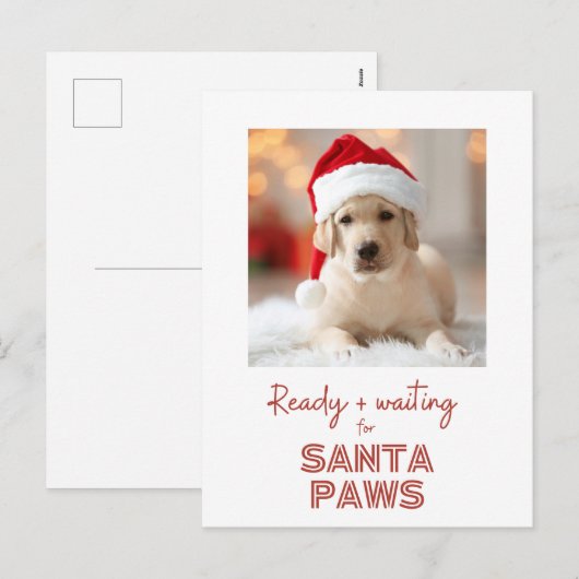 Santa Paws - Hondenliefhebber Christmas Feestdagenkaart (Voorkant / Achterkant)