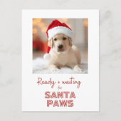 Santa Paws - Hondenliefhebber Christmas Feestdagenkaart (Voorkant)