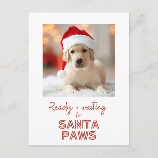 Santa Paws - Hondenliefhebber Christmas Feestdagenkaart (Voorkant)