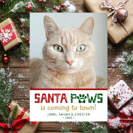 Santa Paws Kattenfoto Feestdagenkaart