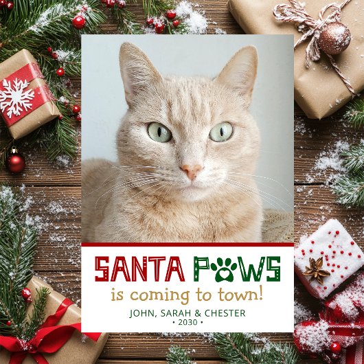 Santa Paws Kattenfoto Feestdagenkaart