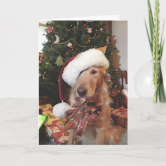 Santa Paws Kerst Kaart