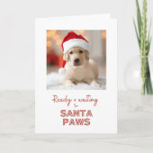 Santa Paws klaar en klaar - Hondenliefhebber Chris Feestdagen Kaart (Voorkant)
