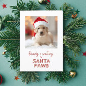 Santa Paws klaar en klaar - Hondenliefhebber Chris Feestdagen Kaart