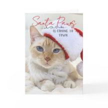 Santa Paws komt naar de kerststad