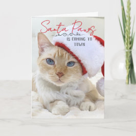 Santa Paws komt naar de kerststad Kaart