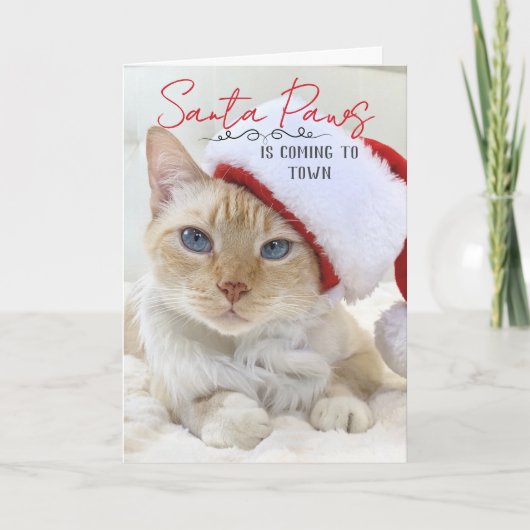 Santa Paws komt naar de kerststad Kaart (Voorkant)