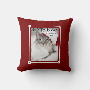 Santa Paws komt naar de kerststad Kussen