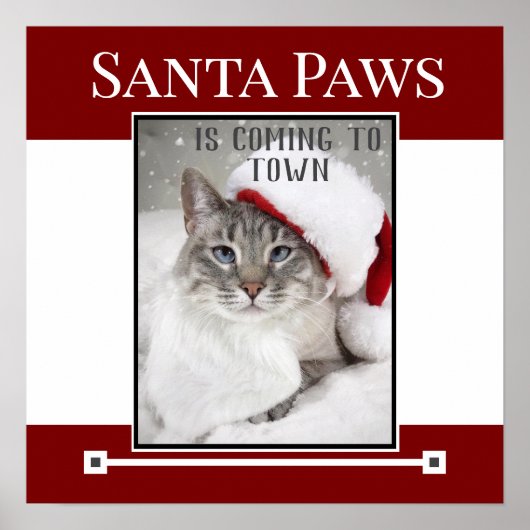 Santa Paws komt naar de kerststad Poster (Voorkant)