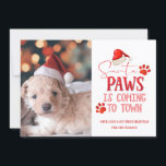 Santa Paws komt naar de stad kerstfoto Feestdagenkaart<br><div class="desc">Santa Paws komt naar de stad met kerstfoto's en typografie met leuke vakantietrips, kerstmuts, honden- of kattenpootafdrukken en trendy scripttekst in helder rood. Een grappig en schattig citaat voor Christmas Pet Lovers, feestdagen en het winterseizoen. Leuk voor het hele gezin! Voeg gewoon uw aangepaste Foto Wenskaart. ~ Bekijk mijn winkel...</div>