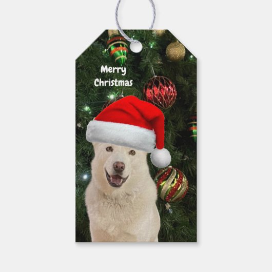 Santa Paws - Kristal de Husky Dog gepersonaliseerd Cadeaulabel (Voorkant)