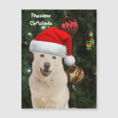 Santa Paws - Kristal the Husky Dog Kerstmis (Voorkant)