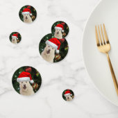 Santa Paws - Kristal the Husky Dog Kerstmis Confetti (Groep)