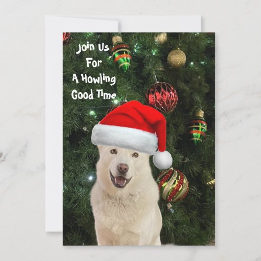 Santa Paws - Kristal the Husky Dog Kerstmis Kaart (Voorkant)