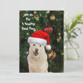 Santa Paws - Kristal the Husky Dog Kerstmis Kaart (Staand voorkant)