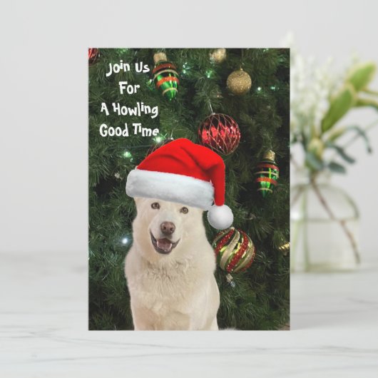 Santa Paws - Kristal the Husky Dog Kerstmis Kaart (Staand voorkant)