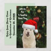 Santa Paws - Kristal the Husky Dog Kerstmis Kaart (Voorkant / Achterkant)