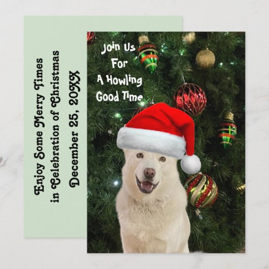 Santa Paws - Kristal the Husky Dog Kerstmis Kaart (Voorkant / Achterkant)