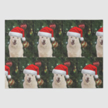 Santa Paws - Kristal the Husky Dog Kerstmis