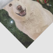 Santa Paws - Kristal the Husky Dog Kerstmis Tissuepapier (Detail)